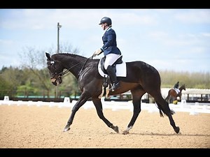Novice 38 dressage test at ROR winter champs Pickering Grange OTTB