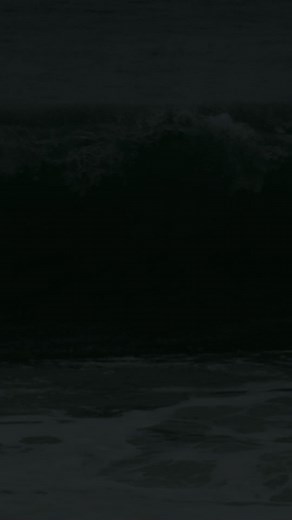 The Beach Boys: Where It All Started | Surfing and Music History