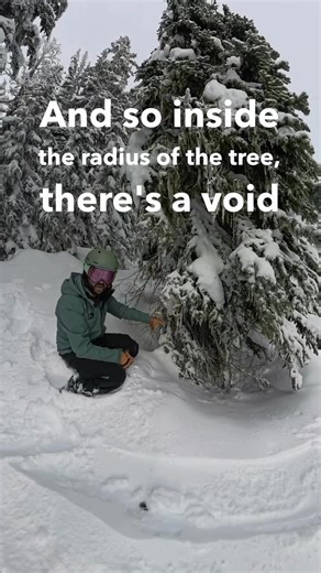 🚨 Winter Webinar Alert 🚨 Deep Trouble: Understanding Tree Wells & Snow Immersion Tree wells and snow immersion are hidden winter hazards that every skier, snowboarder, and backcountry traveller in BC should understand. 🗓 Tuesday, Jan 27 ⏰ 6–7 PM PT 💻 Zoom ⛑️ Featuring Whistler Blackcomb Ski Patrol, 30-year veteran Darlene Douglas 🌟 In this free webinar, you’ll learn how to: ✔️ Recognize high-risk tree well zones ✔️ Understand why snow immersion incidents become deadly so quickly ✔️ Use prac