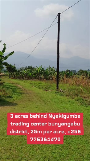 Property Manager (@propertyandjobsagencies)’s videos with original sound - Nanah the Star girl