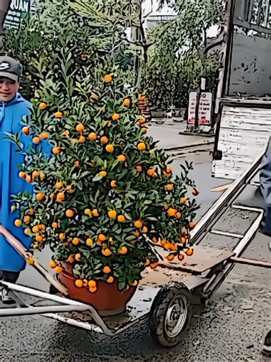 Key Traits of Intelligent Businesses