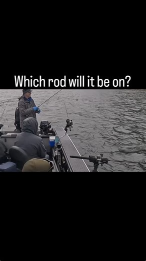 11 reactions | Coho Salmon fishing! @procurebaitscents @simmsfishing @bnrtackle @yakimabaitco @bradskillerfishinggear #fishing #fishinggear #fishingaddict #nature #simmsfishing #cohotwitchers #cohosalmon #cohotwitchingjig | Rip Some Lips Guide Service | Facebook