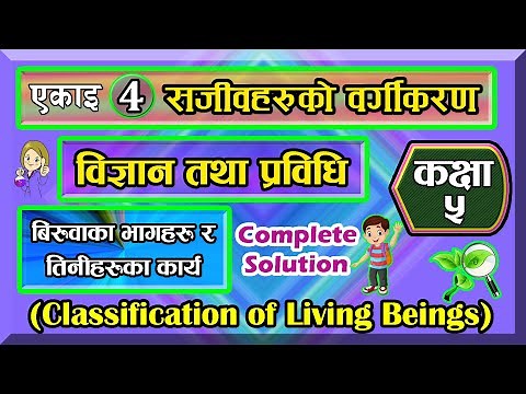 4.2 class 5 science chapter 4 | Classification of Living Beings Class 5 | Part 2 |