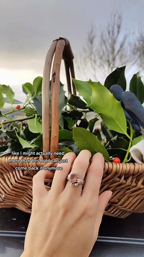 Holly Tree #foraging #findersfeeders #fypシ #🌲 #wreath