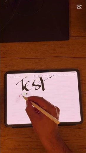 Metal Tip vs Plastic Nib Which Wins #ipadpro #stylus #comparison