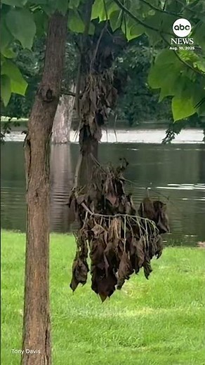 Flash flooding hits Wisconsin, other parts of the Midwest