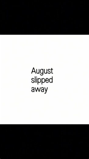 it's August again 🫠🎧 #lyricvideo #songlyrics #capcut #edit #shortvideo