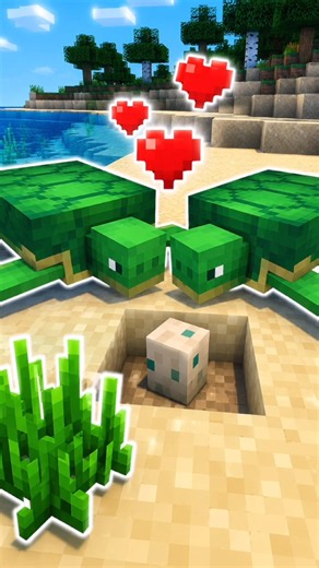 How to Breed Turtles in Minecraft 🐢🥚 #minecraft #shorts #tutorial