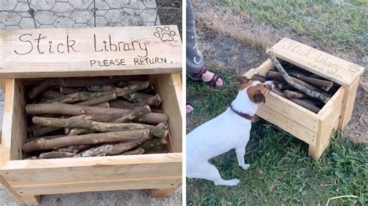 Man creates "library" for dog park that all dogs can use