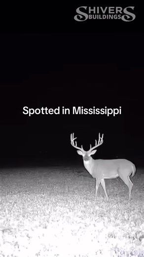 2.2K views | It’s not too late to get set up for deer season this...