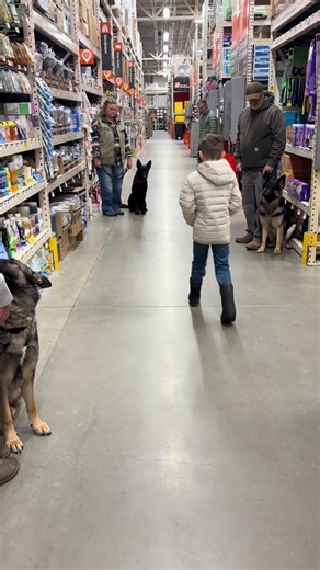 Advanced K9 Reactivity Training at Home Depot