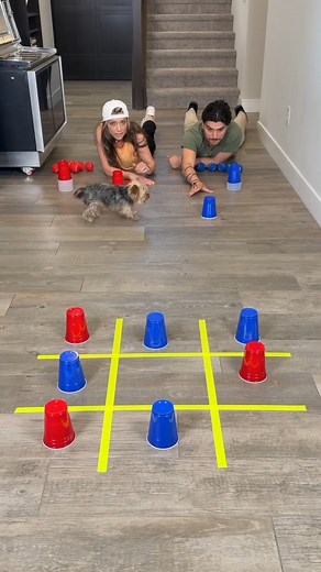 Tic Tac Toe Cup - AVOID the Pup 🐶 🎬 This video was produced by Network Media and The Tus House | Gameplay HQ