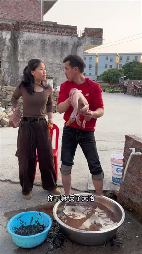 Master of Duck Feather Plucking: A Hilarious Duo's Skill Show