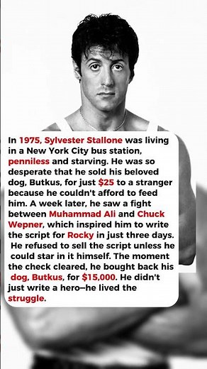 The $106 Life of Sylvester Stallone...