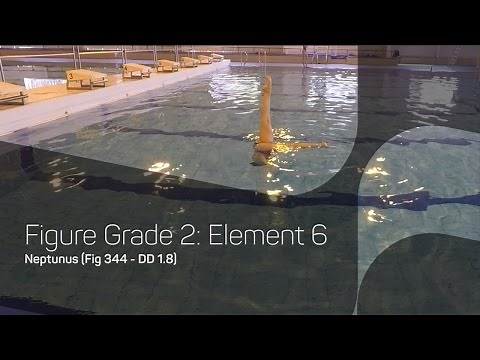 Neptunus | Synchronised Swimming Figures