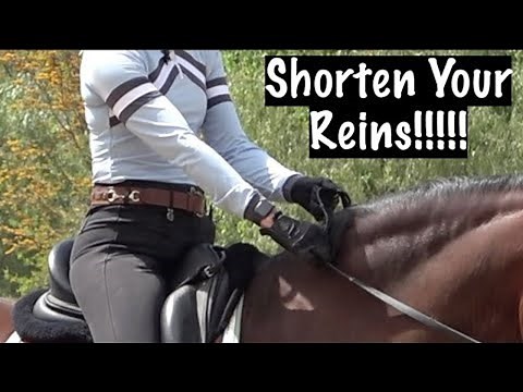 Shorten Your Reins!!!!