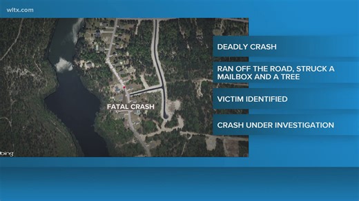 Crash in Lexington County leaves one dead