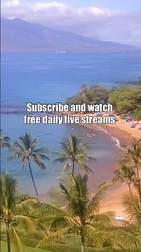 Subscribe for FREE Maui Live Streams from Top Hotels & Resorts 🌴