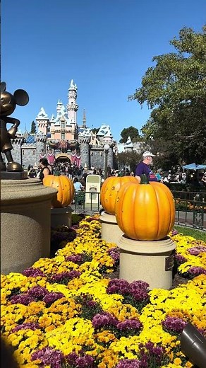 Fall Vibes at Disneyland