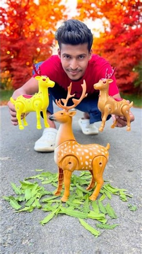 New 3 Ta Remote Control Sika Deer Suto Boro Unboxing 🥹