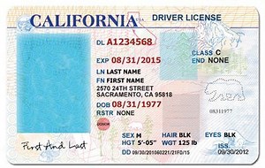 Free Drivers License Photoshop Template