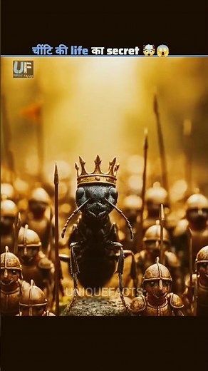 The Hidden Life Of Ants 😱#shorts #ants