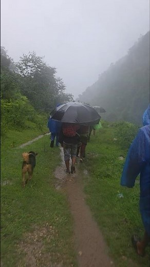 Rainy Day in a Remote Himalayan Village | Walking with Horses Through the Rain | Nepal Village Life