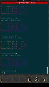 6 Cool Linux Terminal Commands You Didn't Know About #linux #commandline