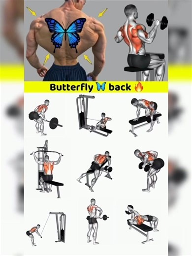 Butterfly 🦋 gym exercise short|| butterfly 🦋 short #butterfly #shots #shortsvideo
