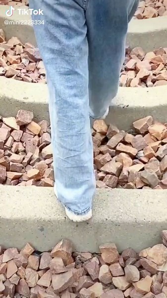 #Is it very cute?#Mini dog#Dog#Pet#For You