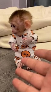 1.4M views · 31K reactions | That smile. 珞珞 | Funniest and Craziest Videos | Facebook