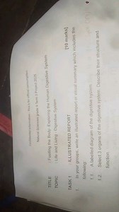 Natural Sciences grade 9 Term 3 Project 2025Task 1: Illustrat... | Filo