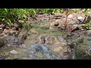 Immersive ASMR - Underwater Trickles and Bubbling to Soothe Your Mind - 4K