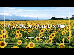 明野ひまわり畑へ/山梨北杜市おすすめショップ/おいしいお土産