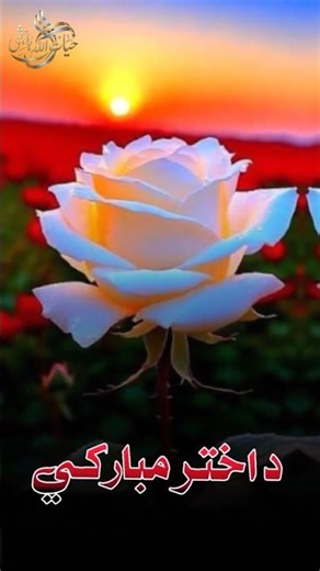 دہ اختر مبارکی | Beautiful Pashto Eid Poetry | Heart Touching Kalam 🌙✨