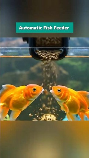 Automatic Fish Feeder using Arduino Nano | Smart Aquarium Feeding System | Arduino Project #stempark
