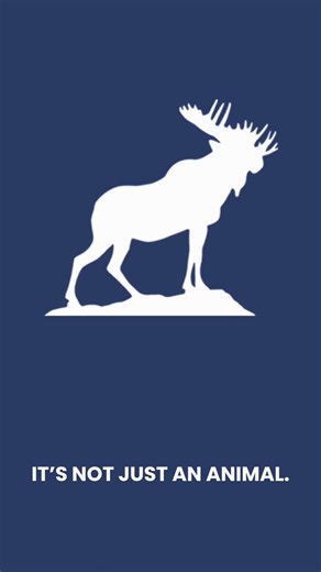 29K views · 348 reactions | “Wait… what is Moose?” 歷 We’re a community rooted in compassion, supporting kids at Mooseheart, honoring seniors at Moosehaven, and building stronger hometowns across North America. Moose is where service meets celebration. Proud to be Moose. Proud to make a difference. #MooseInternational #MooseLife #CommunityFirst #ServiceWithHeart #CaringForAll | Heard of Moose? | Facebook