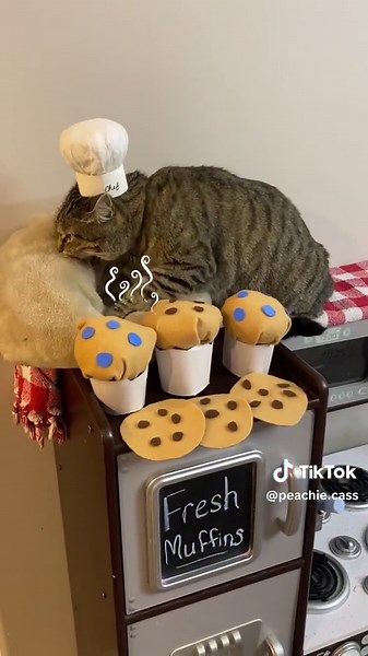 Chef Gary: The Talented Baker at Chef Gary's Bakery