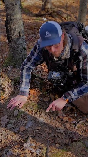 Macro Photography in the Cold Frosty Subjects, Lighting Secrets & Creative Tips