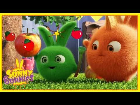 Hopper Finds a Magic Flute 🪈 | Sunny Bunnies | Funny Cartoons For Kids