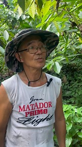 Cacao farming is patience turned into profit, pride, and purpose. Let me show you around. #Bayani #cacao #farming #agripreneur #farmgrowth #cacaoindustry #bizfromfarm #cacaopods #agriBusinessPH | Bayani ng Cacao Farming