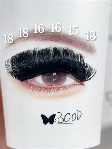 Complete Guide to B&Q 200D Lash Mapping for DIY Lashes