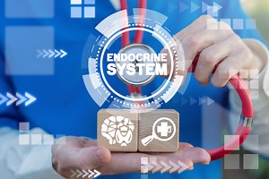 Principles of Hormonal Control Systems - Biology Online Tutorial