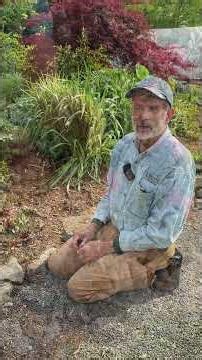 Don't grow Sempervivum in Texas