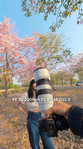 อุโมงดอกชมพูพันทิพย์ FE 70-200mm F2.8 GM OSS II บิดที่ 200mm #SonyThai #MyOriginalLens #ชมพูพันธุ์ทิพย์ #เกษตรกำแพงแสน #SEL70200GM2 | ILoveToGo