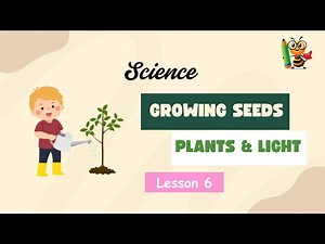 Cambridge Grade 1 Science Lesson 06 | Plants & Light | Study Bee