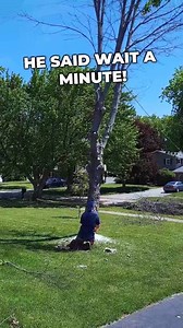 55K views · 126 reactions | CUTTING IT CLOSE! #tree #diy #scary #shorts | Mini Lawncare | Facebook