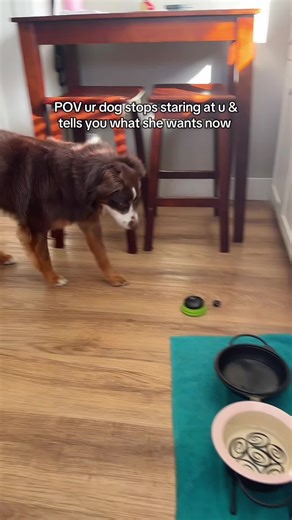 I love these buttons for my dog to actually tell me what she wants now 😅 #dogmom #dogbuttons