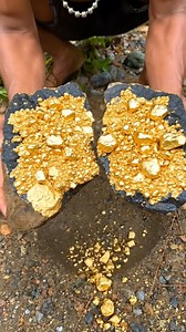 Gold Nuggets Stored Inside Quartz Rock, Worth USD 99,000, Pure Gold #golddiscovery #findinggold #goldstone | Wit Discovery