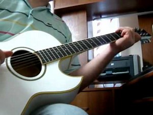 Washburn EA20 Festival Series acoustic guitar demo